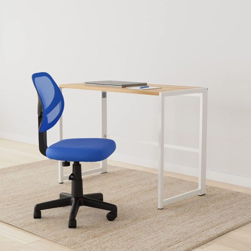 Low Back Computer Task Office Desk Chair with Swivel Casters