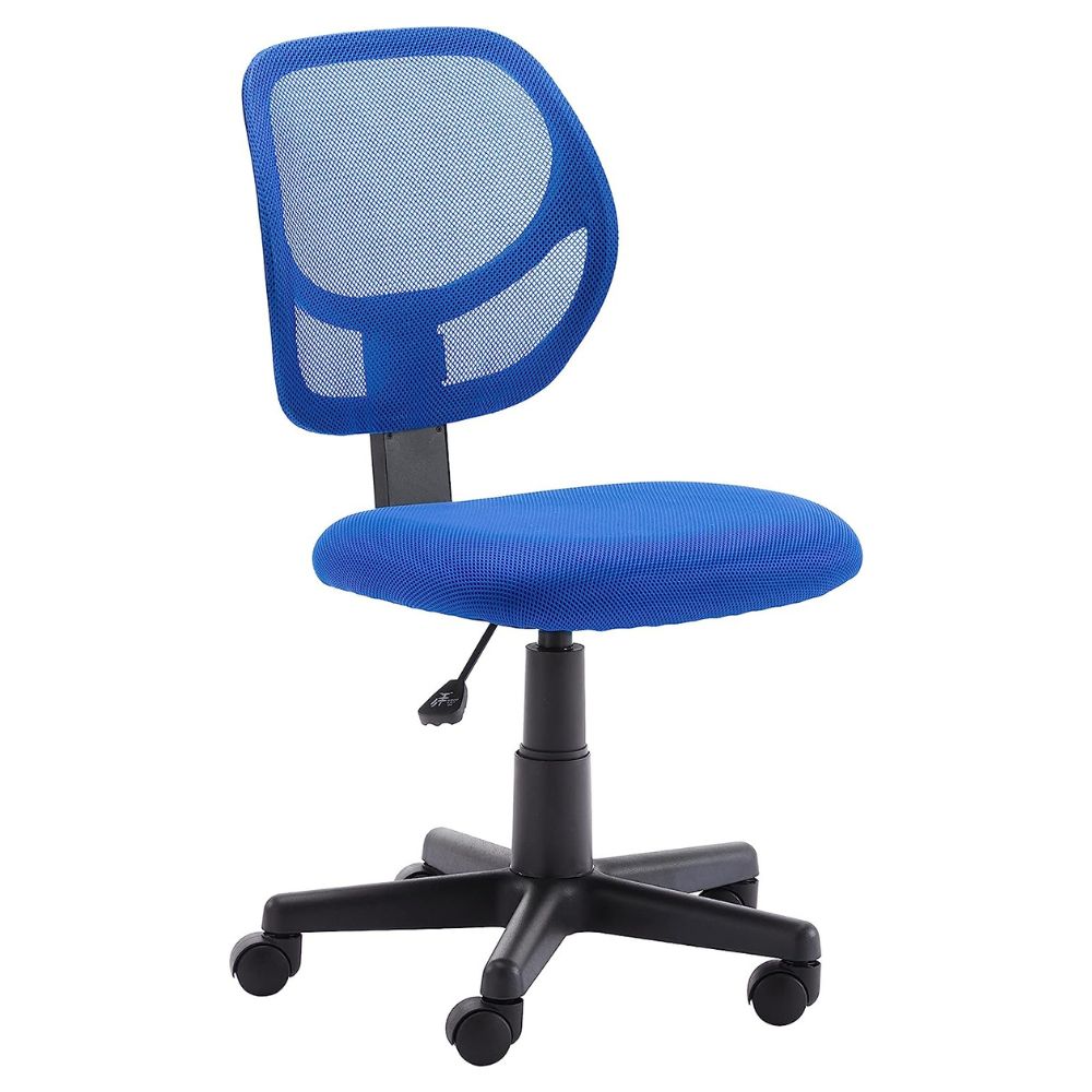 Low Back Computer Task Office Desk Chair with Swivel Casters